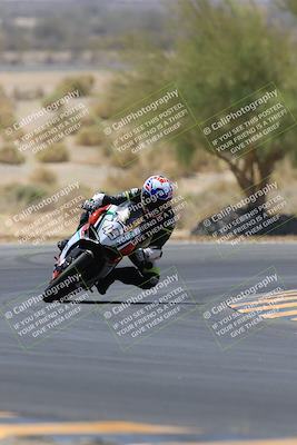 media/May-14-2023-SoCal Trackdays (Sun) [[024eb53b40]]/Turn 5 Tree of Life (1125am)/